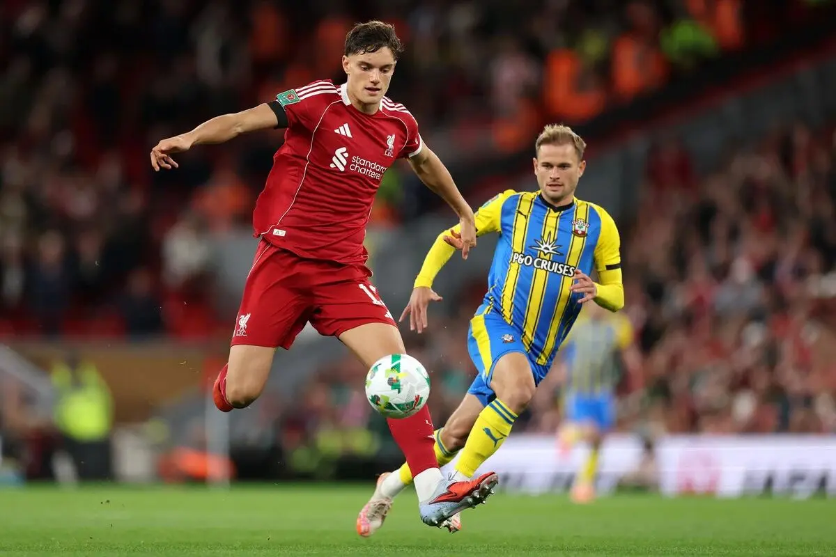 但均未能登, msn