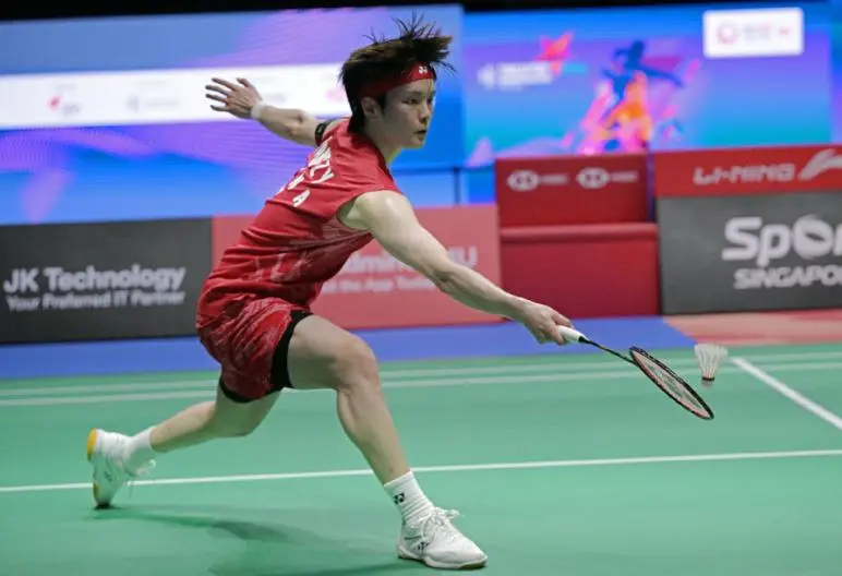 msn, 分击溃印度, 非常有侵略 msn, 分击溃印度, 非常有侵略