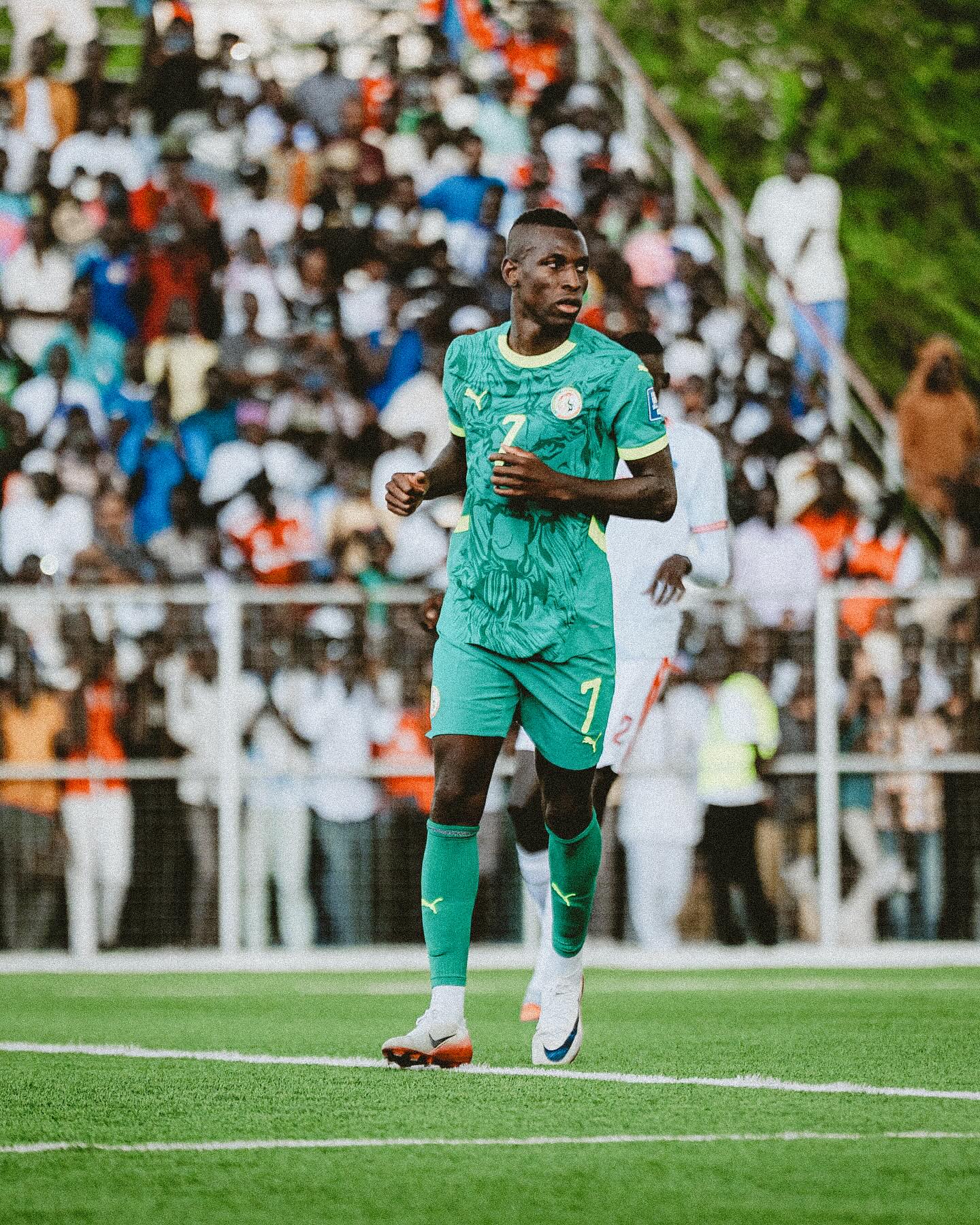 赛后, entit, 赛组图庆祝